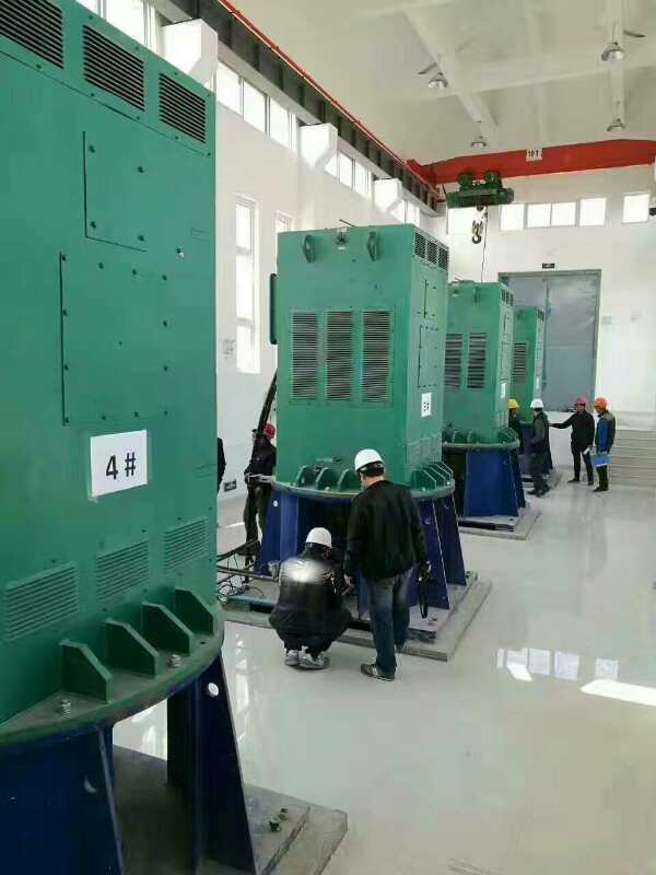 南陵某污水处理厂使用我厂的立式高压电机安装现场