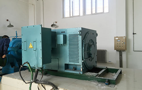 南陵某水电站工程主水泵使用我公司高压电机