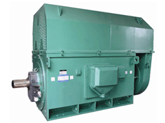 南陵Y系列6KV高压电机